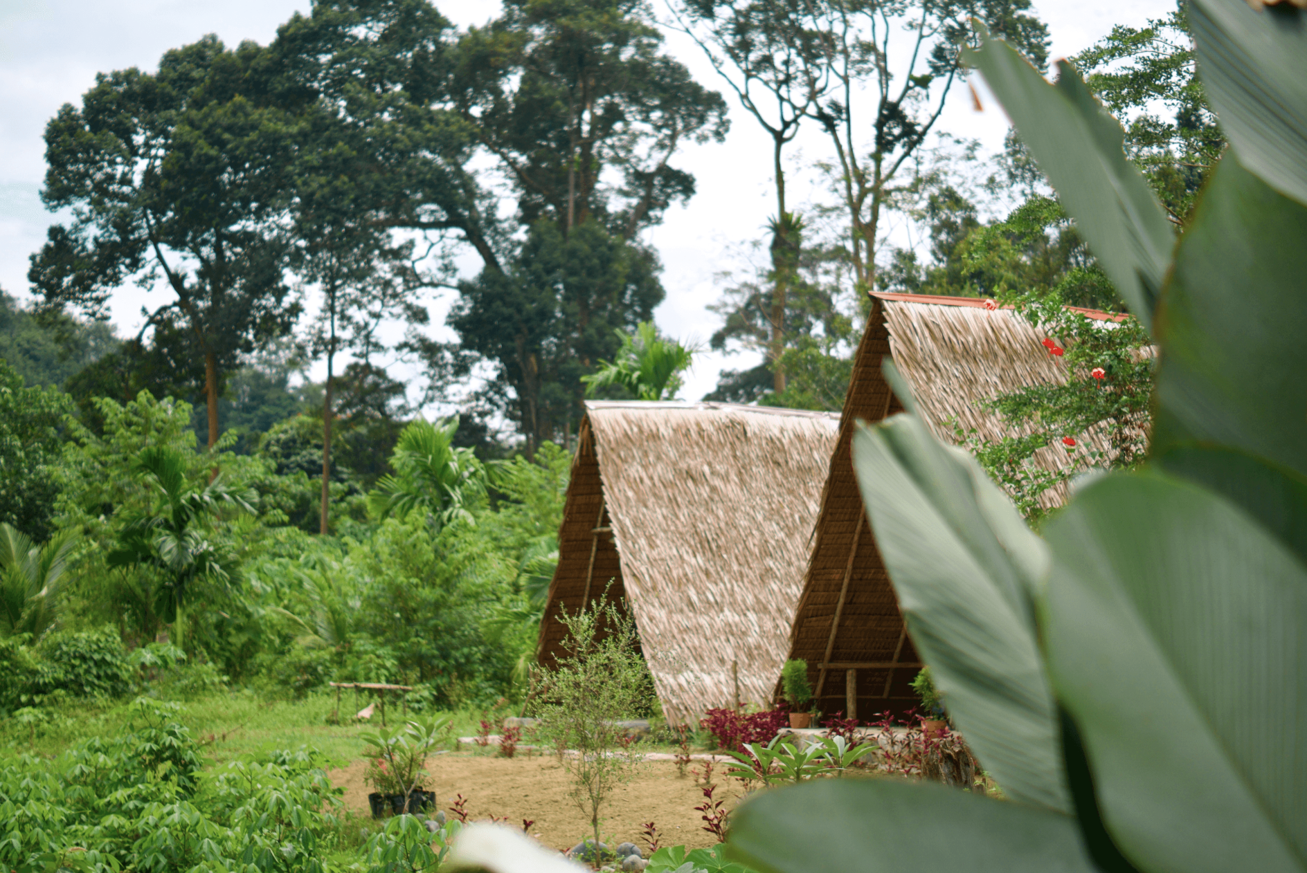 Tangkahan Eco Glamping