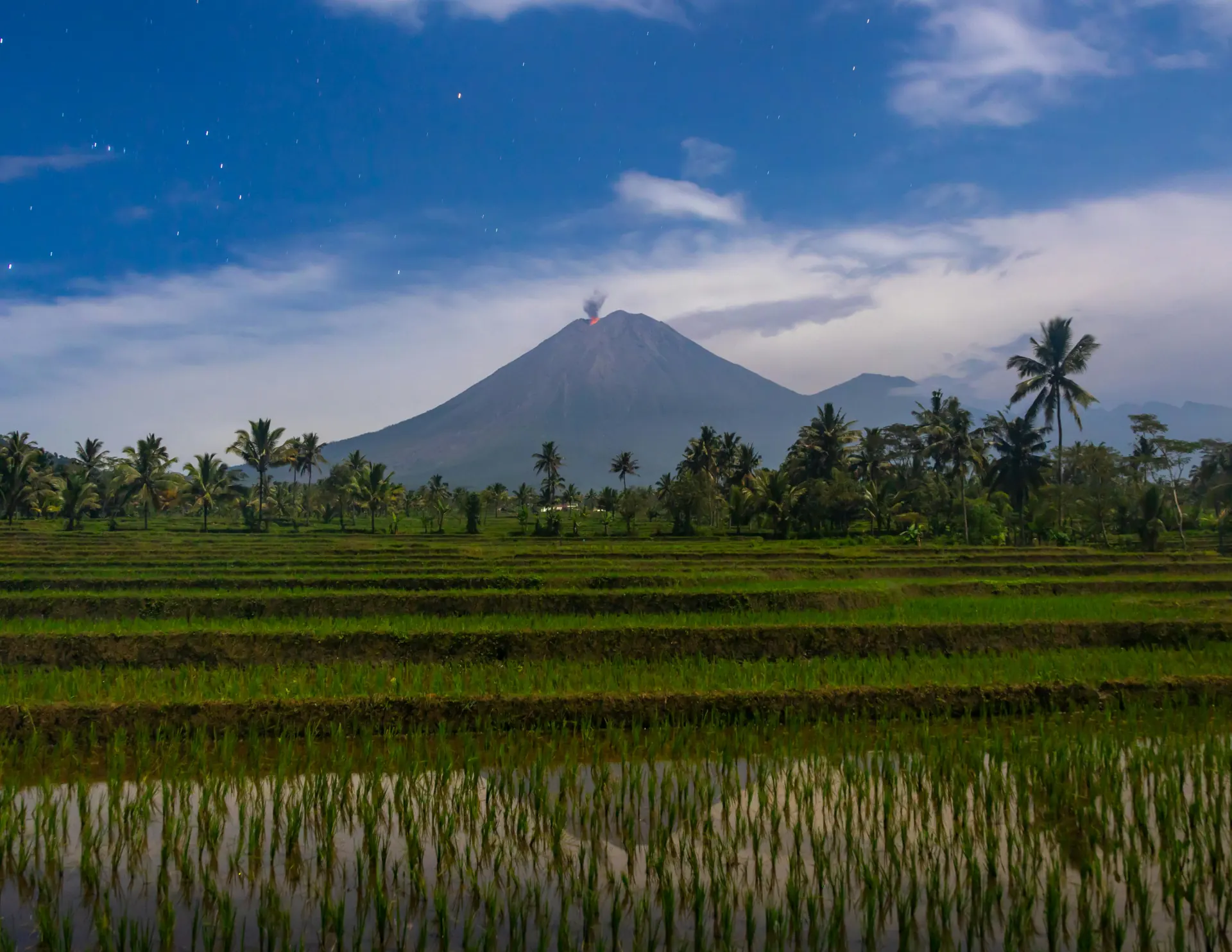 21-daagse privé rondreis Java: Bogor, Bandung, Yogyakarta, Bromo & Ijen