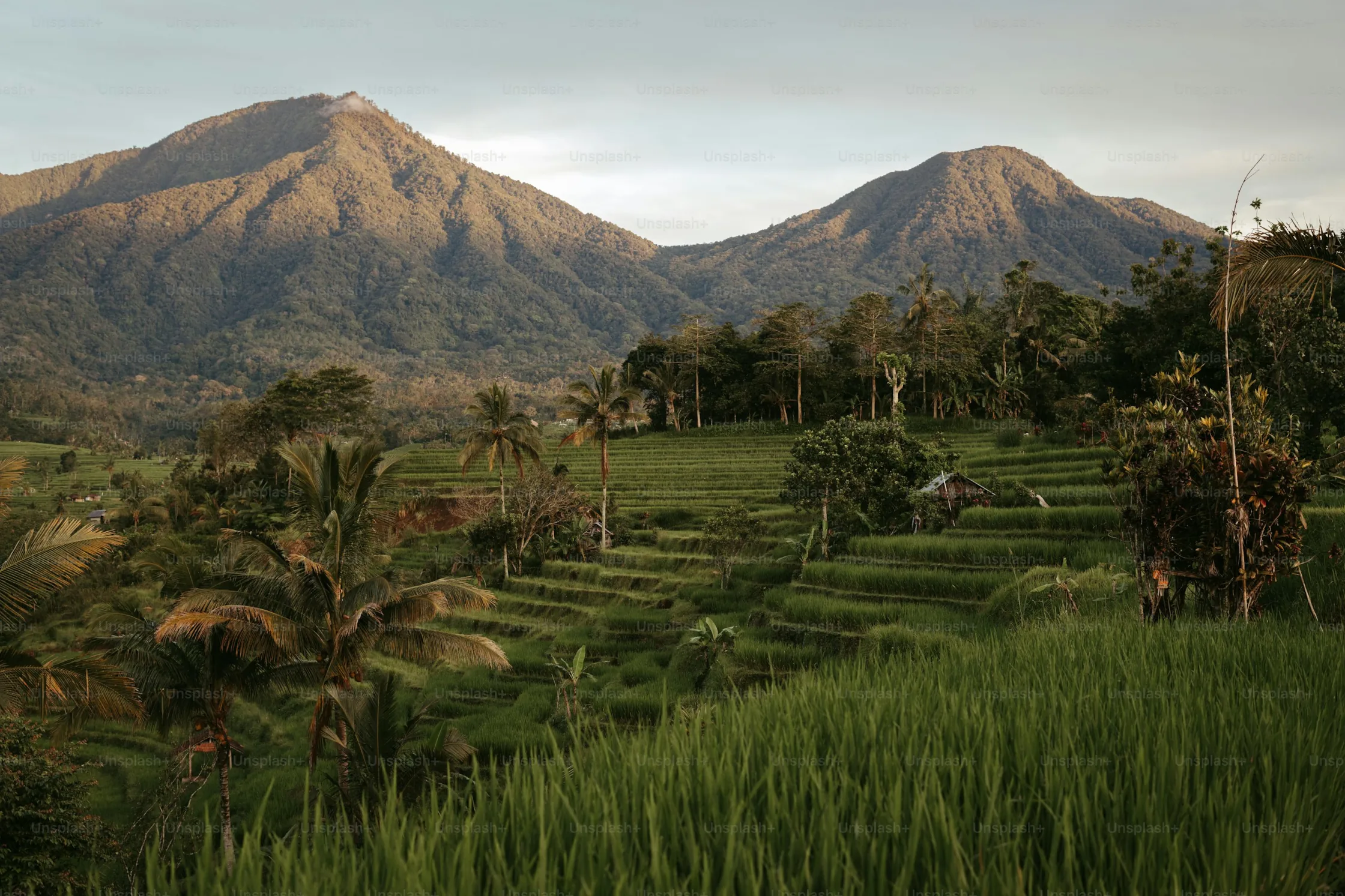 Indonesië